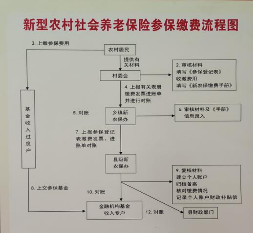 丹东农村医保和社保有什么区别(农村医保跟社保的区别)