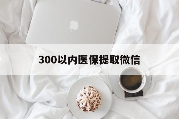 丹东300以内医保提取微信(300以内医保提取微信离职可以用吗)